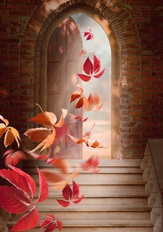 doorway with flower petals blowing through the opening